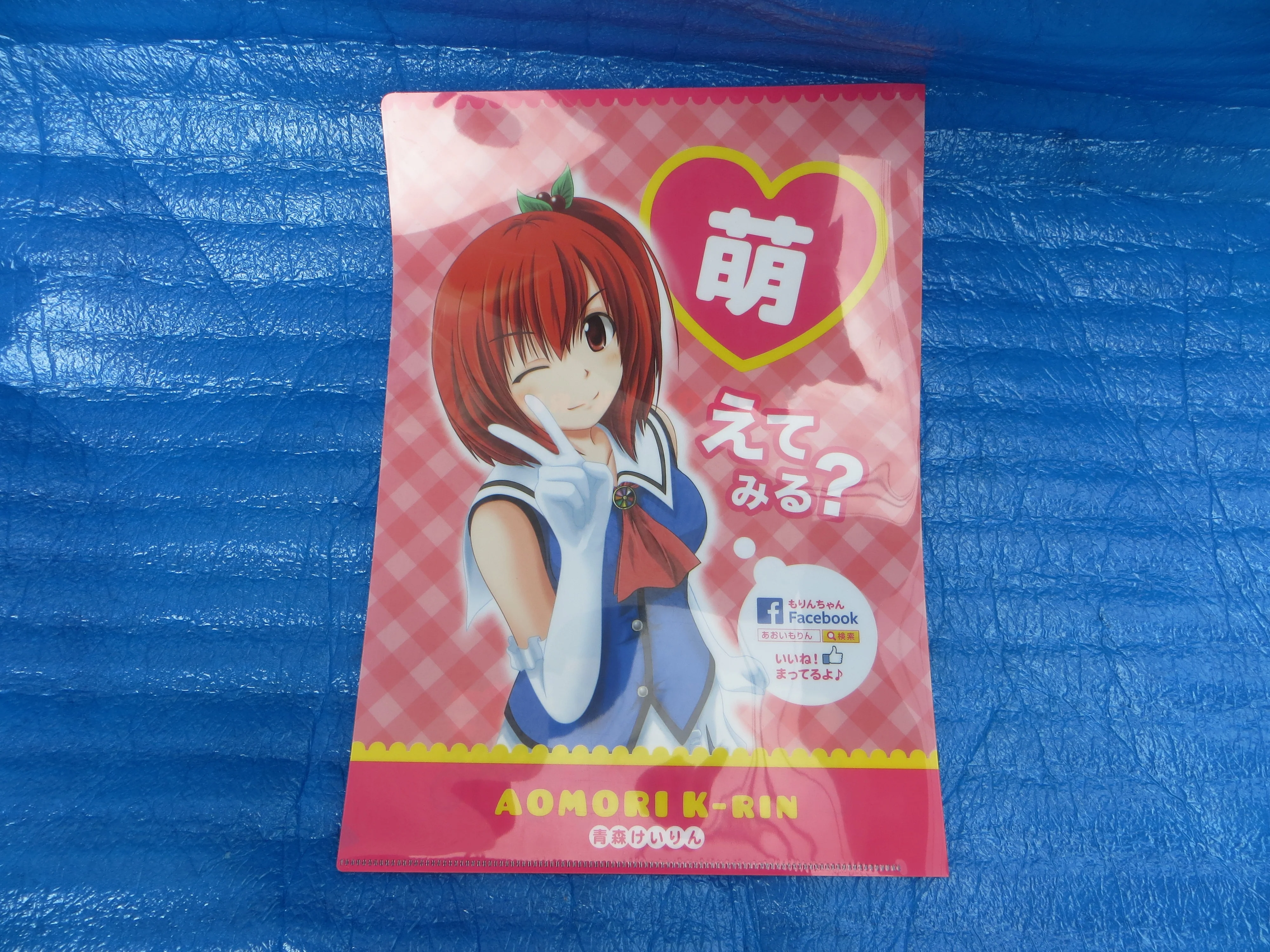 Moe Moe! Rare! Aomori Keirin Yuruchara AOI MORIN Document Holder /25081301