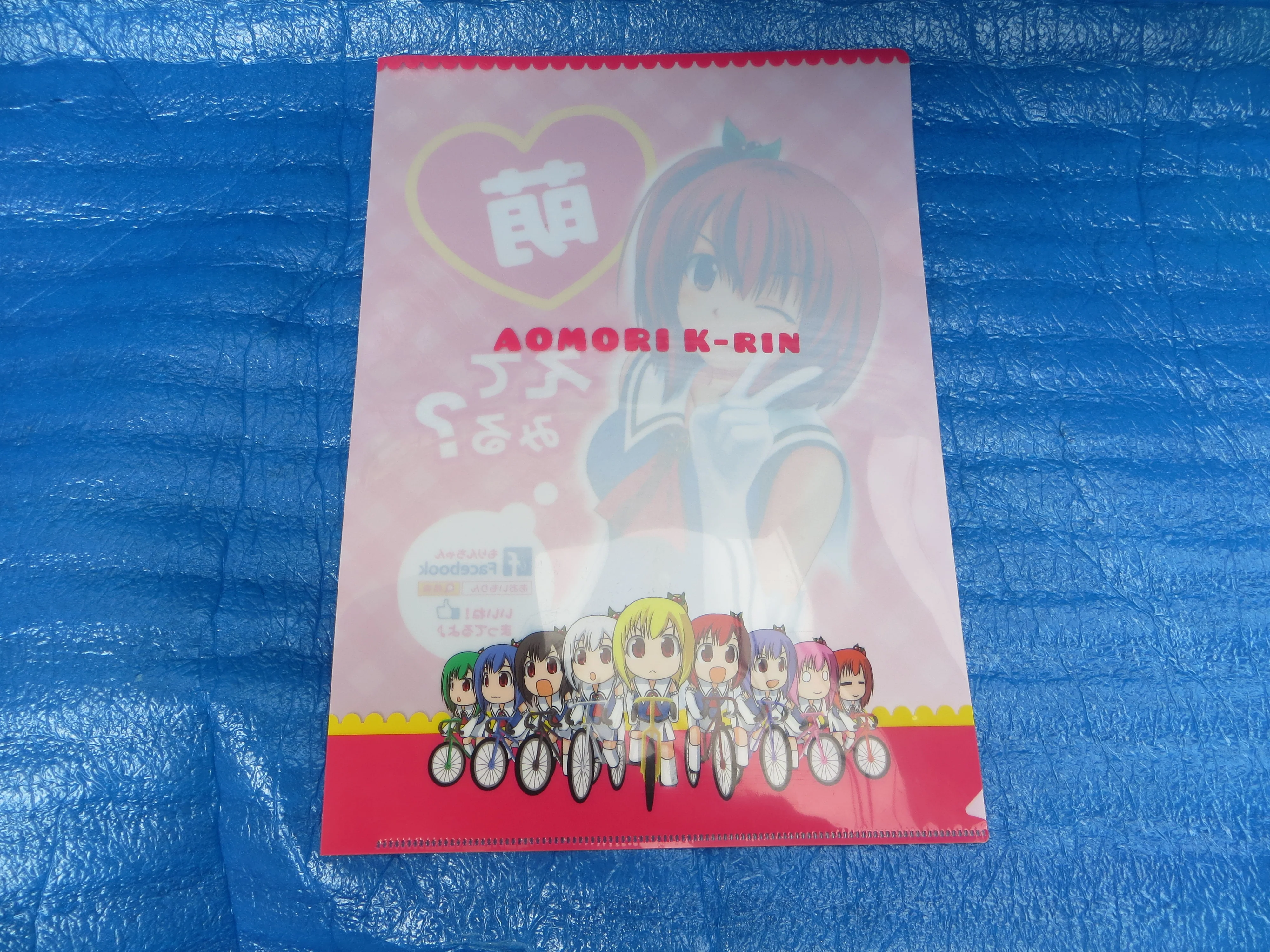 Moe Moe! Rare! Aomori Keirin Yuruchara AOI MORIN Document Holder /25081301 - Image 2